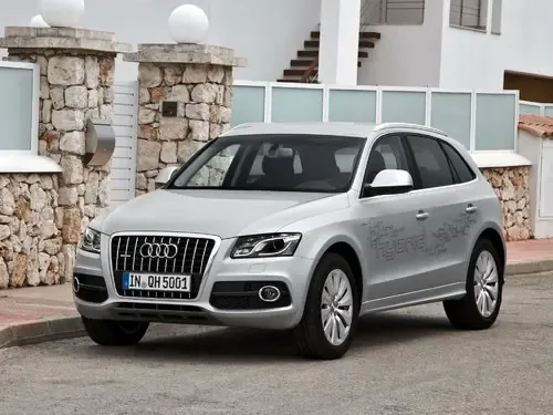 Логотип Q5